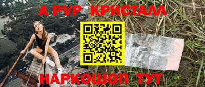 гашик Малгобек