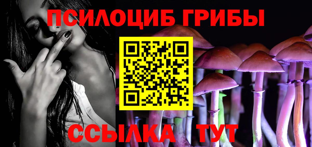 Галлюциногенные грибы мицелий  Вход с VPN  Сызрань 